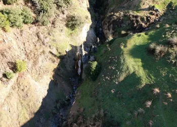 Canlı dikitler akademisyenler tarafından incelendi