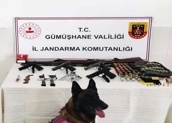 Torul’da kaçak silah operasyonu