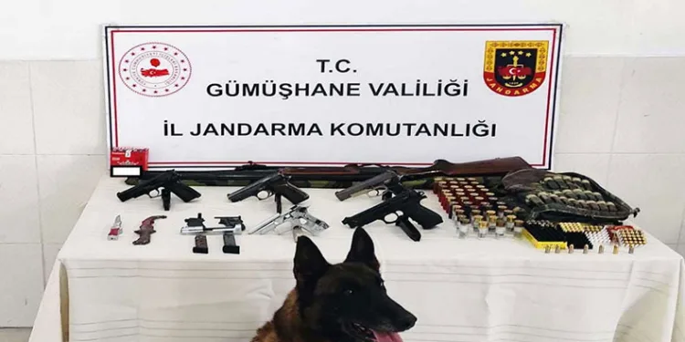 Torul’da kaçak silah operasyonu