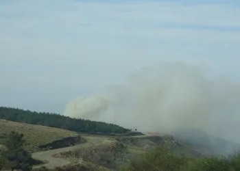 Sinop’ta ot yangını