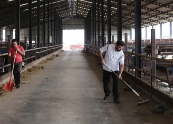 Bursa’da mühendisliği bırakıp çiftlik kurdular