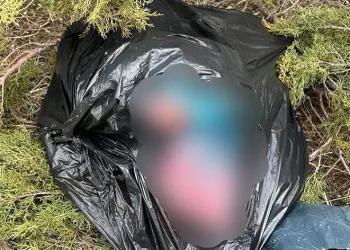 Kaçak avcılık yapan 2 şahsa ceza kesildi