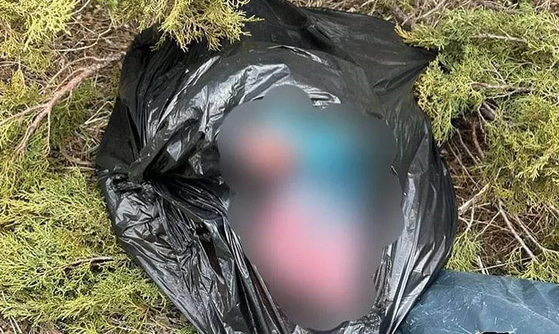 Kaçak avcılık yapan 2 şahsa ceza kesildi