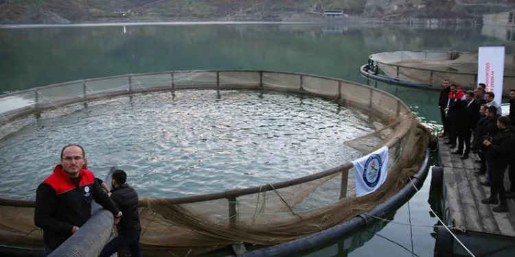 İnceler Barajında hedef 30 ton balık