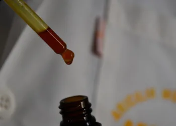 Bal arılarının ürettiği Propolis ayrıştırılıyor