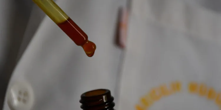 Bal arılarının ürettiği Propolis ayrıştırılıyor