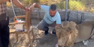 20 günde eski sağlığına kavuşturdu