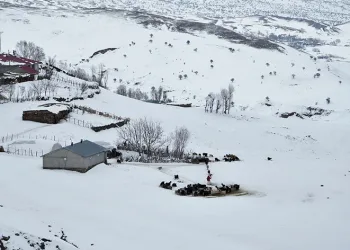 Muş’ta yüksek rakımlı köyler kara gömüldü