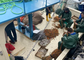 Limana 500 kilo mezgitle geldiler