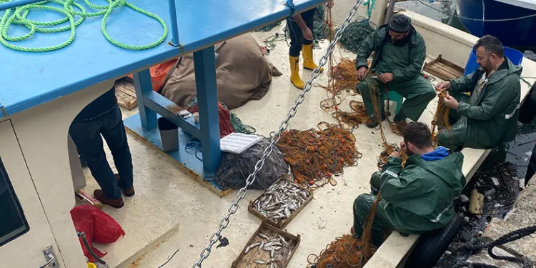 Limana 500 kilo mezgitle geldiler