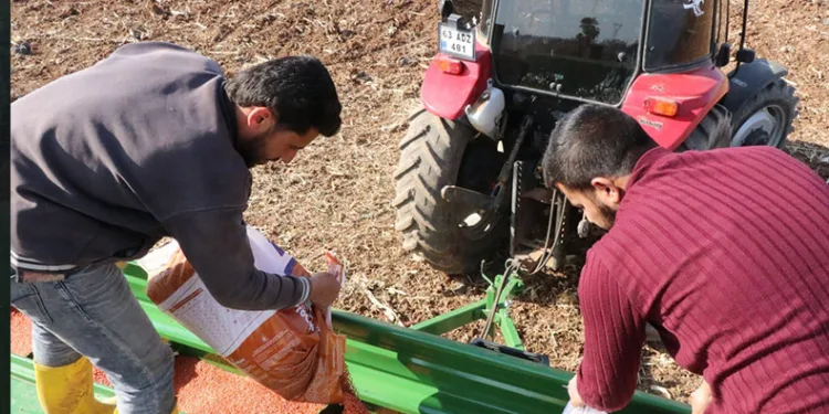 Şanlıurfa buğday ekimine başladı