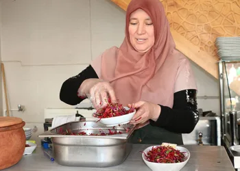Hemcinslerine ekmek kapısı oldu