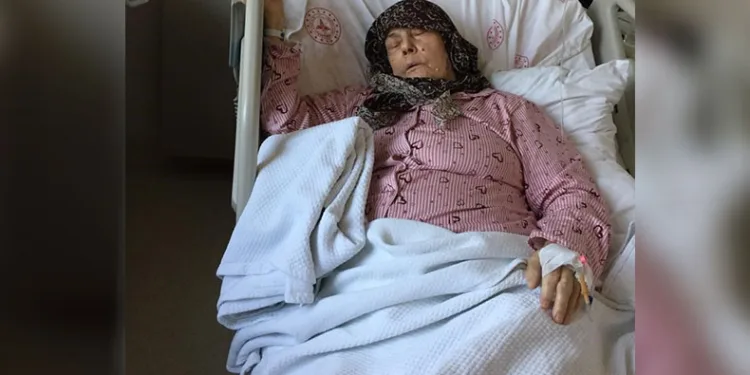 Köpekler 84 yaşındaki kadını yoğun bakımlık yaptı