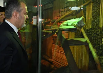 Bursa Hayvanat Bahçesi 25 yaşında