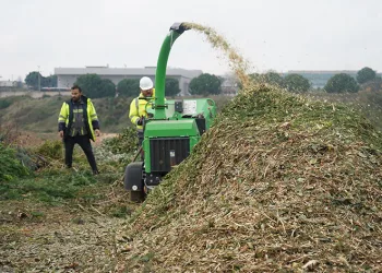 Dal ve bitki gübreye dönüşüyor