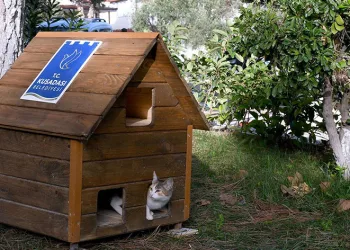 Can dostların yuvaları kışa hazır