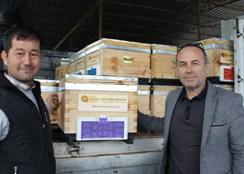 Kemer’de arı üreticilerine kovan desteği