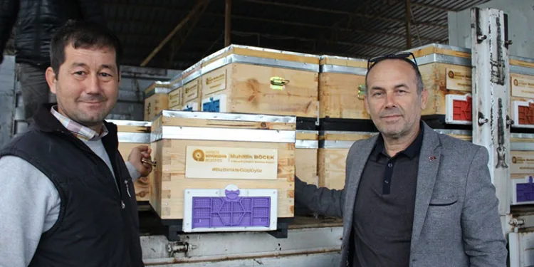 Kemer’de arı üreticilerine kovan desteği