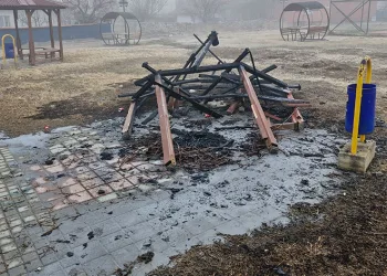 Şehir magandaları parktaki kamelyayı yaktı