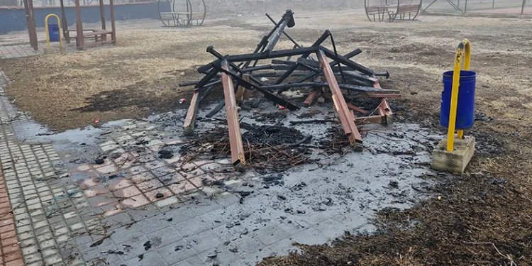 Şehir magandaları parktaki kamelyayı yaktı