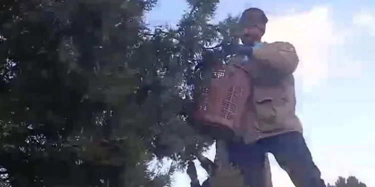 Köylülerin yeni ek gelir kapısı