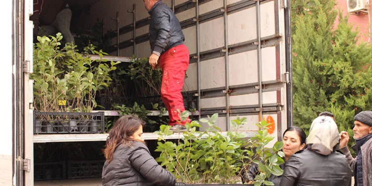 Elmalı’da bin 300 aronya fidanı dağıtıldı