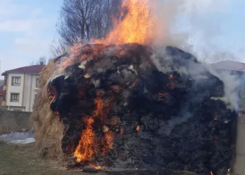 Yüksekova’da 6 bin bağ ot yandı