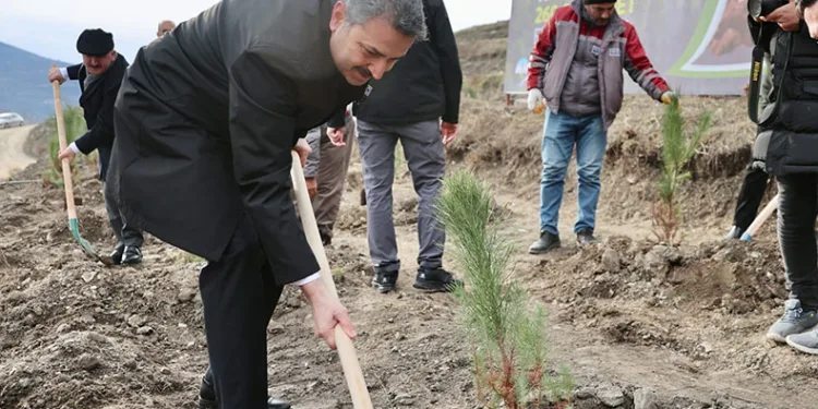 10 yılda 260 bin fidan