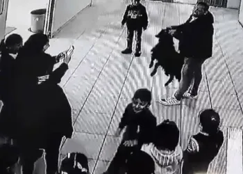 Yağmurdan kaçan keçi okula sığındı
