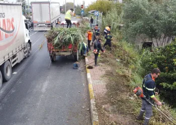 Temizlik ekipleri karayolu kenarlarını temizledi