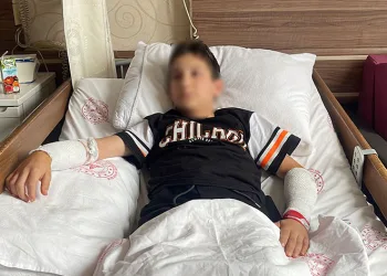 “Köpekle oyun oynarken direkt kollarıma saldırdı”