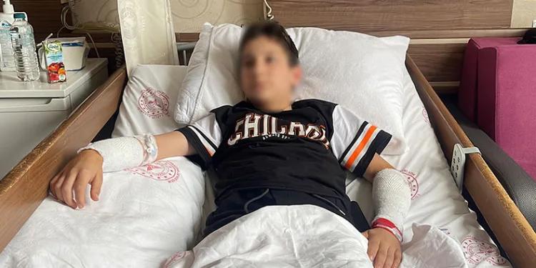 “Köpekle oyun oynarken direkt kollarıma saldırdı”