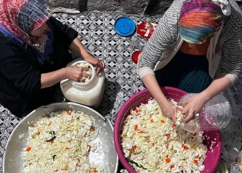 Kış aylarının doğal antibiyotiği
