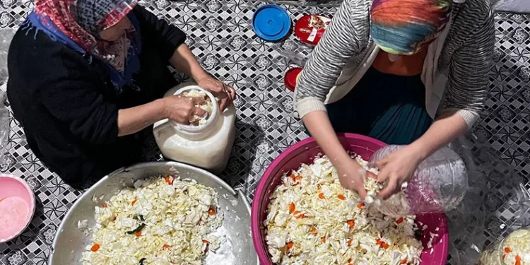 Kış aylarının doğal antibiyotiği