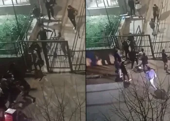 Kavgaya tutuşan gençler caddeyi boks ringine çevirdi