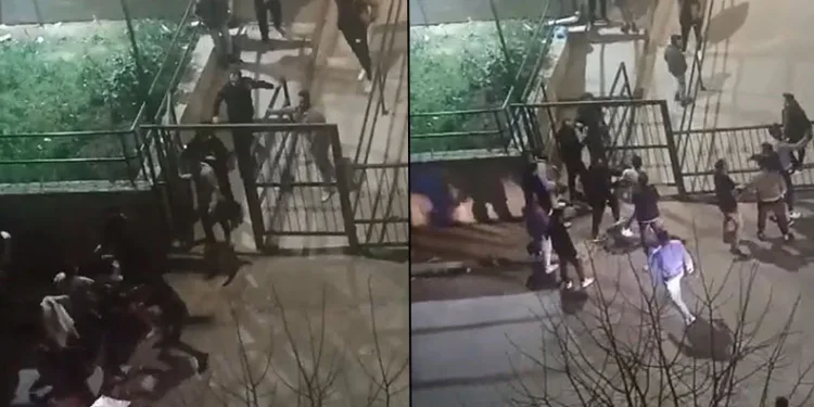 Kavgaya tutuşan gençler caddeyi boks ringine çevirdi