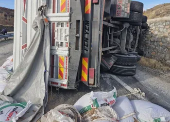 Kontrolden çıkan yem yüklü tır devrildi