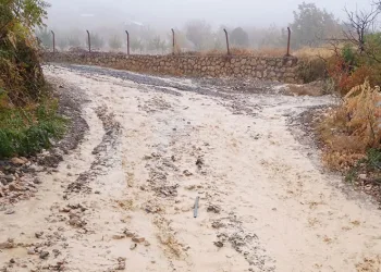 Tut Çanakçı yolunda sel hasara neden oldu
