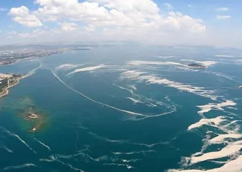 Marmara Denizi’nde korkutan görüntü