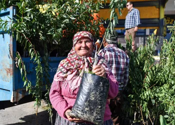 Üreticilere badem fidanı desteği