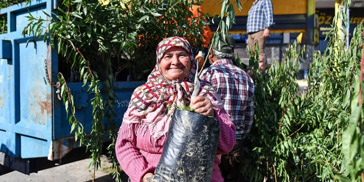 Üreticilere badem fidanı desteği