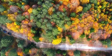 Artvin’in Karagöllerine ziyaretçi akını