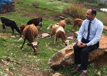 Yerli ırk koruma altına alınıyor