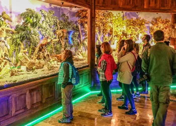 Vatandaşlar Avrupa Leylek Köyü Eskikaraağaç’a akın etti