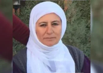 Kazada ağır yaralanan kadın, hayatını kaybetti