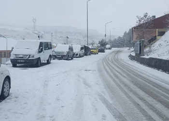 Tunceli’de kar yağışı etkili oldu