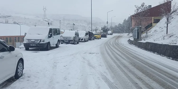 Tunceli’de kar yağışı etkili oldu