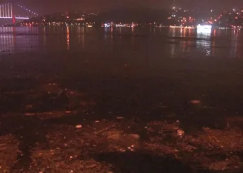 “İki aydır buraya bir balık yaklaşmıyor”