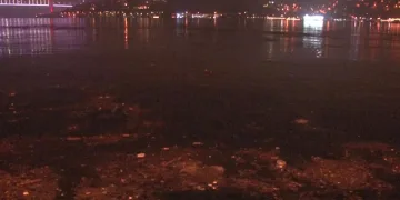 “İki aydır buraya bir balık yaklaşmıyor”