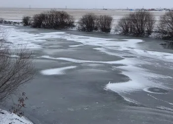 Ardahan’da Kura Nehrinin yüzeyi dondu